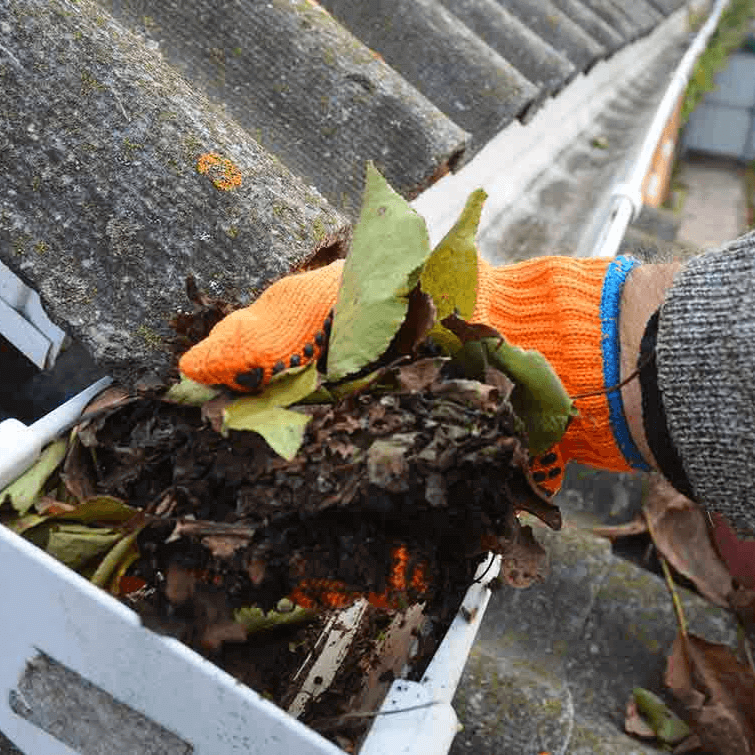 Professional gutter cleaning in Montgomery County